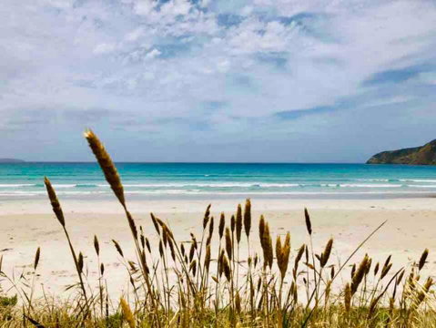 Modern Beach Villa - Australian Directory 14