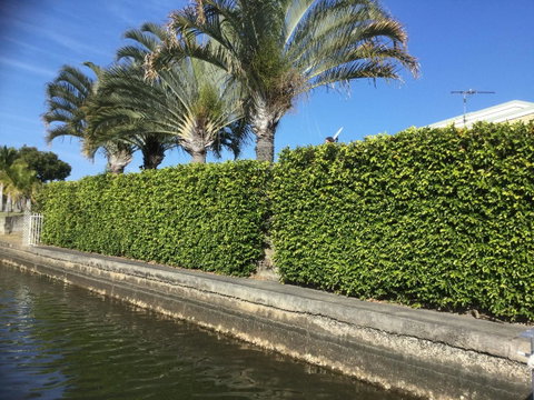 Private Canal Duplex With Pontoon - Oleander Drive, Bongaree - Australian Directory 8