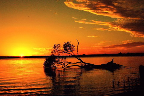 Fishing And Swimming At Your Doorstep - Sylvan Beach Esp, Bellara - Australian Directory 2