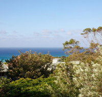 Seagrass - Australian Directory