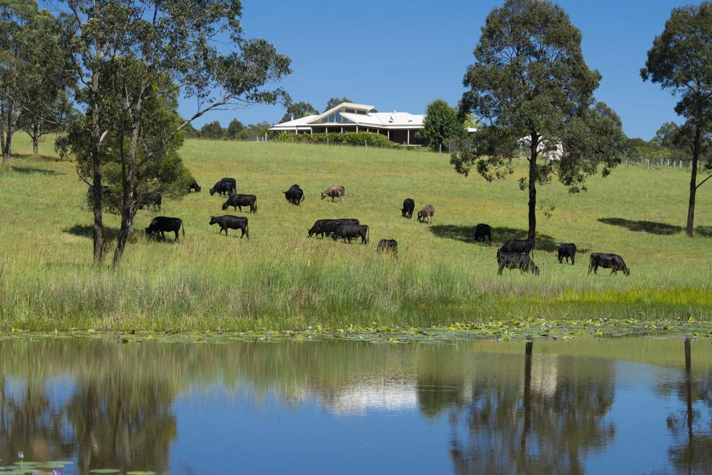 Nerong NSW Australian Directory