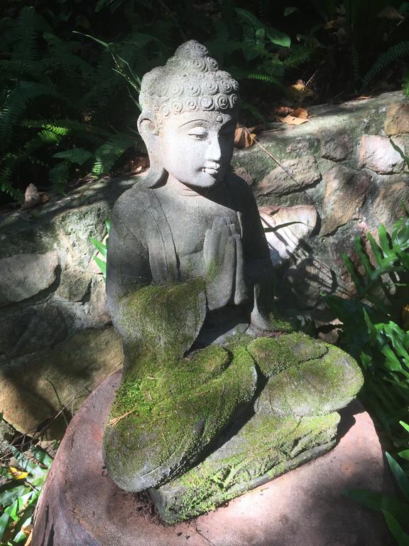 Coolum QLD Australian Directory