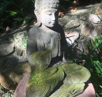 'The Tree House.' Treetop living near the ocean Coolum Beach QLD Australia - Australian Directory