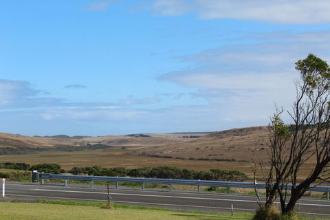 12 Apostles Cottages - Australian Directory 3