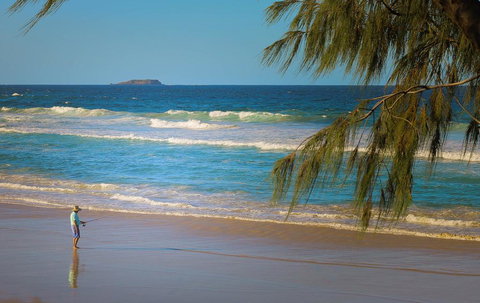 12 Kingsway Ocean View - Australian Directory 2