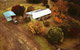 Cann Valley Farm - thumb 1