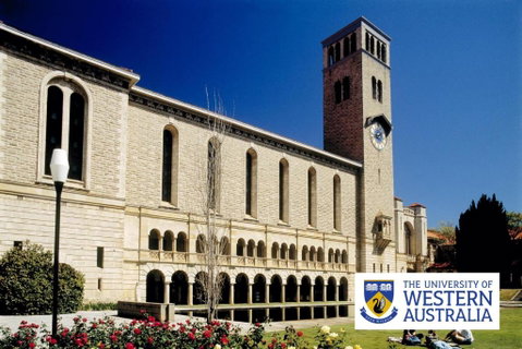 Crawley Cosy Urban Retreat Close To CBD UWA Free Park Netflix - Australian Directory 4