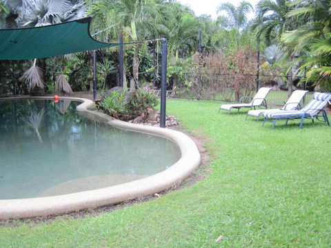 Daintree Wild Bed & Breakfast - Australian Directory 4
