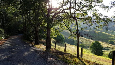 Dayboro Cottages - Australian Directory 1