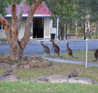 31 The Rocks - Australian Directory