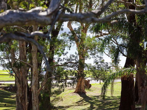 34 'Bay Parklands', 2 Gowrie Avenue - WIFI, Views, Pool, Spa & Tennis Court - Australian Directory 0