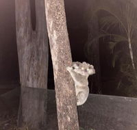 5 mins to Movie world  pet friendly - Australian Directory