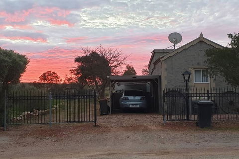 A Real Bush Retreat. Kangas, Emus & Starry Skies. - Australian Directory 1