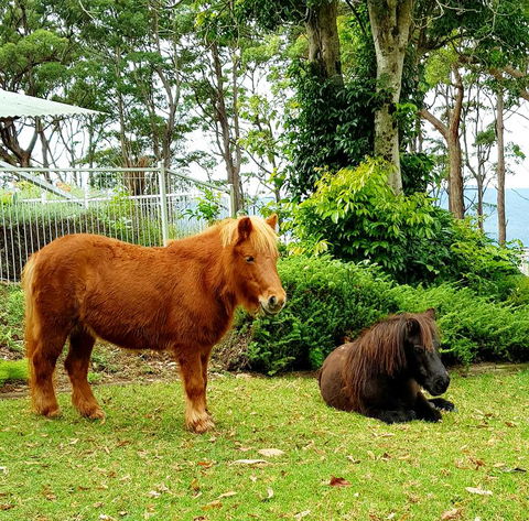 Aaronlee Retreat - Australian Directory 1