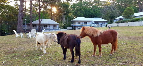 Aaronlee Retreat - Australian Directory 2