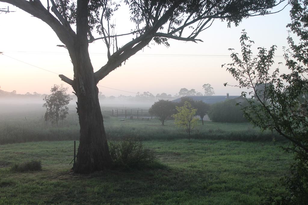 Licola VIC Australian Directory