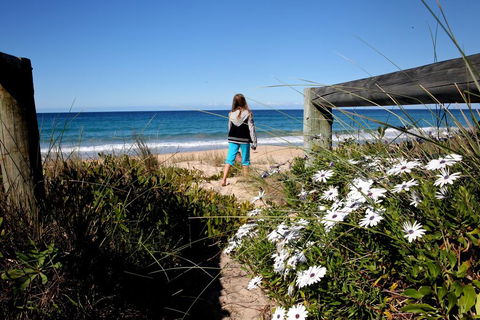 Absolute Beachfront Mollymook - Australian Directory 3