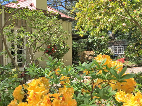 Adelaide Hills 'Camellia Cottage' - WiFi - Australian Directory 1