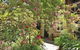 Adelaide Hills 'Camellia Cottage' - WiFi - thumb 2