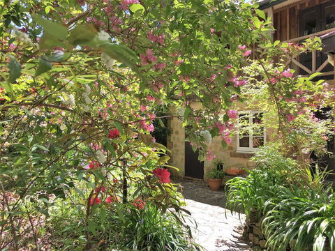 Adelaide Hills 'Camellia Cottage' - WiFi - Australian Directory 2