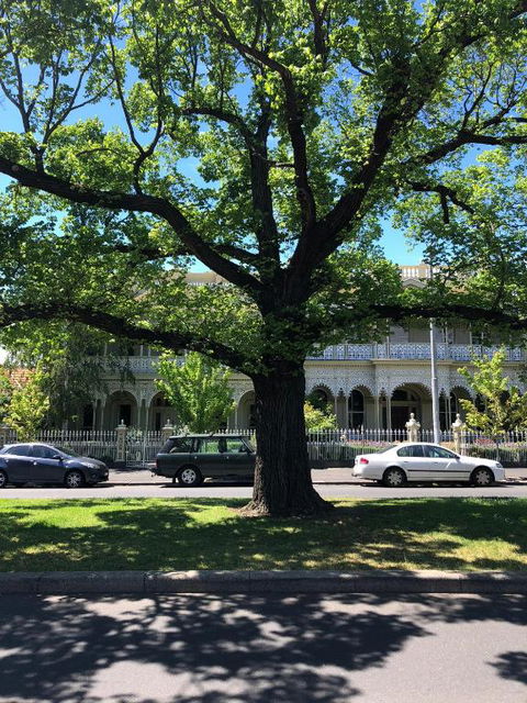 East Melbourne City Studio - Amazing Location & Sunny Charm - Australian Directory 3