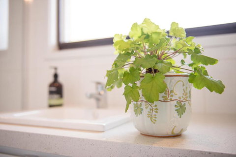 Easy Elva - Australian Directory 4