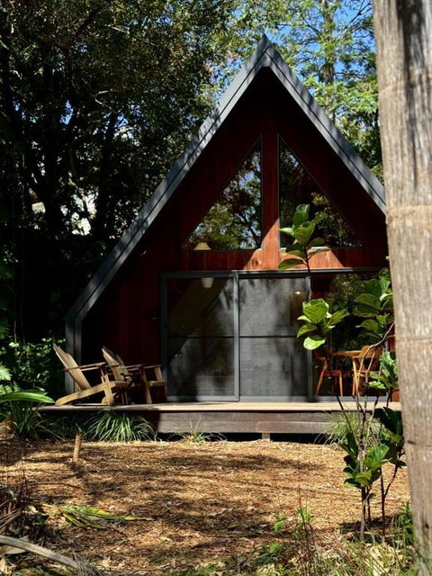 Eh Frame Among Noosa National Park - Australian Directory 0