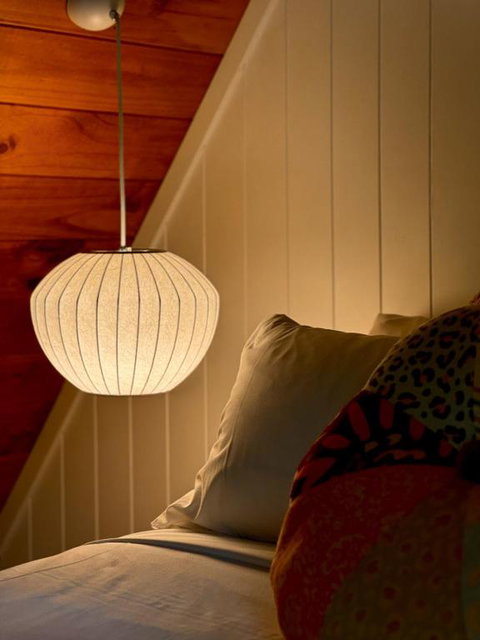 Eh Frame Among Noosa National Park - Australian Directory 1