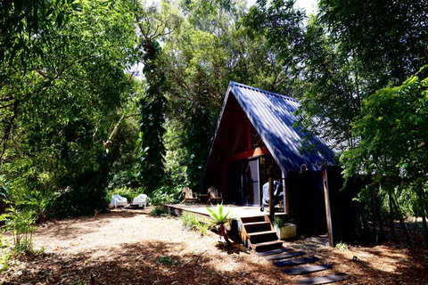 Eh Frame Among Noosa National Park - Australian Directory 2