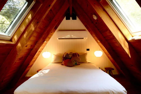 Eh Frame Among Noosa National Park - Australian Directory 3