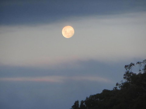 Eildon Parkview Motor Inn Room 8 - Australian Directory 2