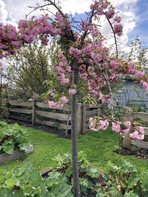 Elm Cottage Barn - Australian Directory 2