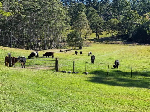 Fiery, Cozy Starry Nights - Farm Stay! - Australian Directory 2