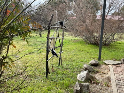 Florence Lodge - Australian Directory 4