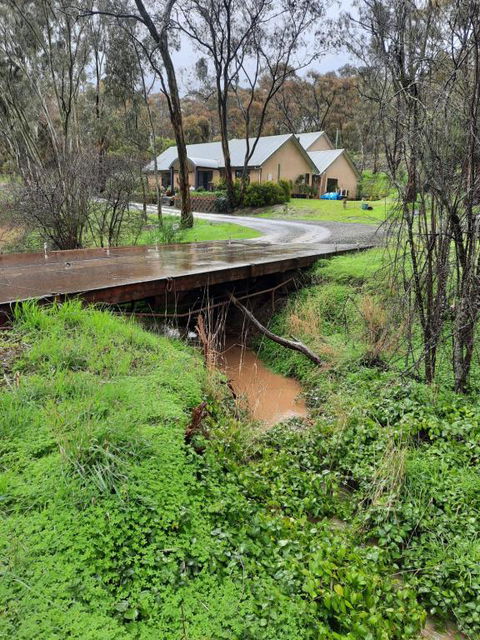 Frogmouth Hollow - Australian Directory 4
