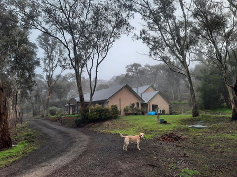Frogmouth Hollow - Australian Directory 0