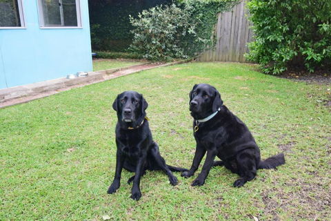 GERR14C - Salty Dog - Australian Directory 3