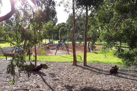 Harp Haven - Contemporary In Suburban Tree Lined Kew - Australian Directory 1