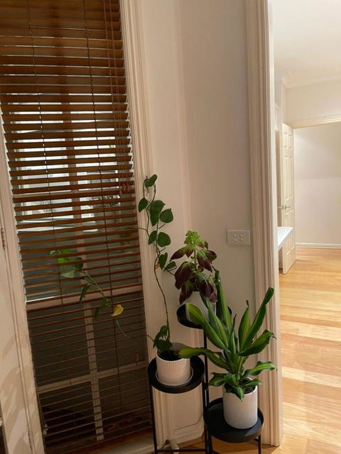 Hunter House - Australian Directory 0
