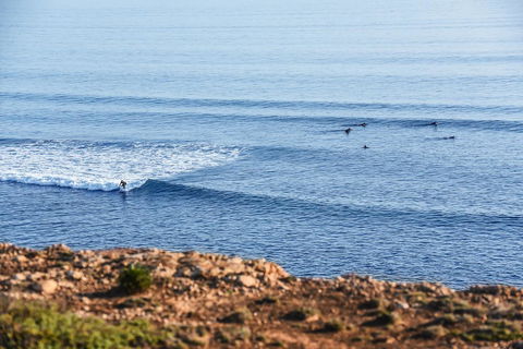 Aldinga Beach Experience - Australian Directory 3