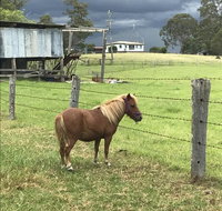 AMs Farm Stay - Australian Directory