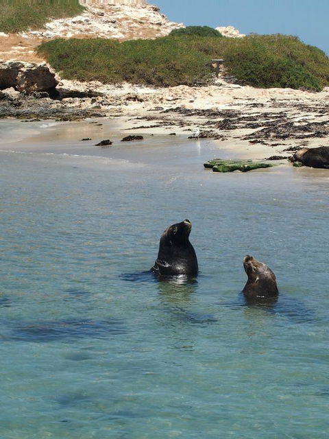 Anchorage Guest House And Self-contained Accommodation - Australian Directory 3