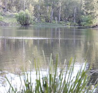 Arcadian Cabin - Southern Highlands River Retreat - Australian Directory