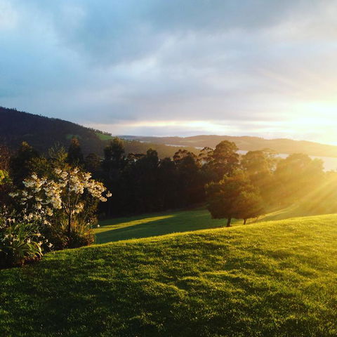 Arjuna Ridge Bed And Breakfast - Australian Directory 3