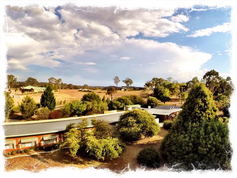 Armidale Rose Villa Motel - Australian Directory 1