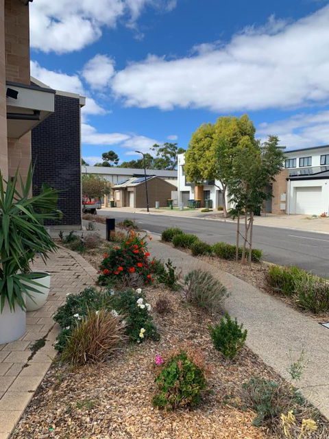 Luxurious Suite - Australian Directory 0