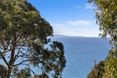 Maddlyn - Australian Directory 1