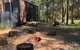 Manna Gum Retreat By Tiny Away - thumb 1