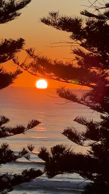 Manly Beachfront Stay - Australian Directory 2