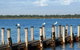 Nature Lovers Dream In Dawesville - thumb 0